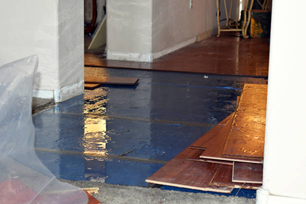 Professional Basement Flood Cleanup technician working in Frost, TX